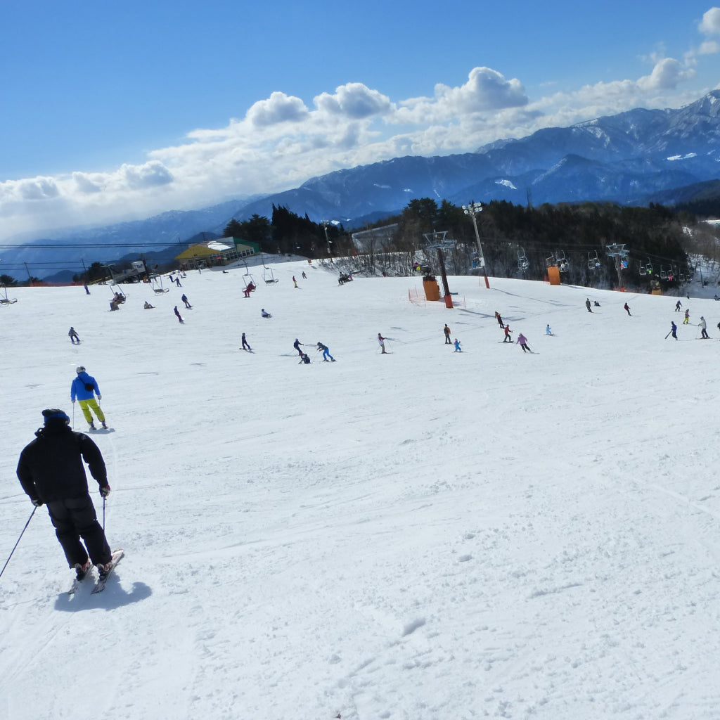 ホワイトピアたかす＋鷲ヶ岳スキー場　共通リフト１日券（全日）
