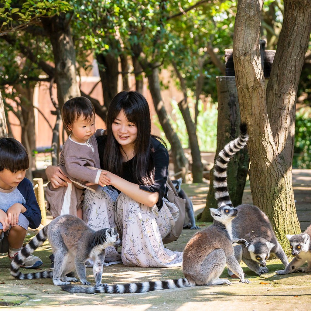 【兵庫県神戸市】アソビュー！ふるさと納税クーポン