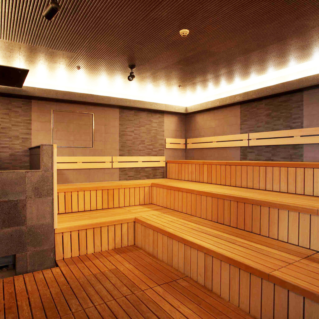 タイムズ スパ・レスタ 1日入館チケット