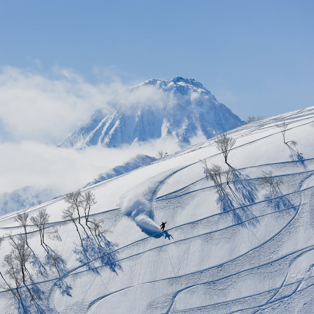 アライマウンテンリゾート エコノミークラスシーズンパス