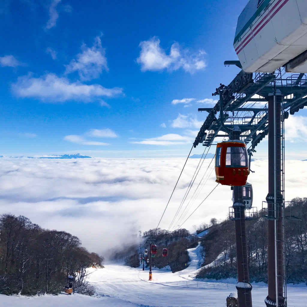 ふるさと納税でダイナランド&高鷲スノーパーク 共通リフト1日券|便利 ふるさと納税でダイナランド&高鷲スノーパーク 共通リフト1日券|便利