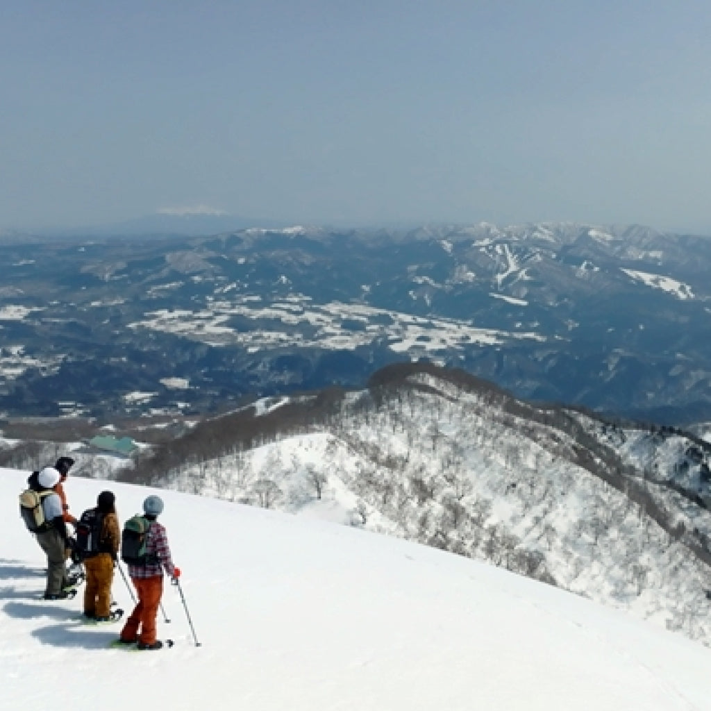 ふるさと納税でダイナランド＆高鷲スノーパーク 共通リフト1日券｜便利