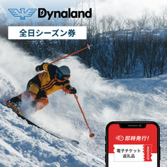 ダイナランド　全日シーズン券