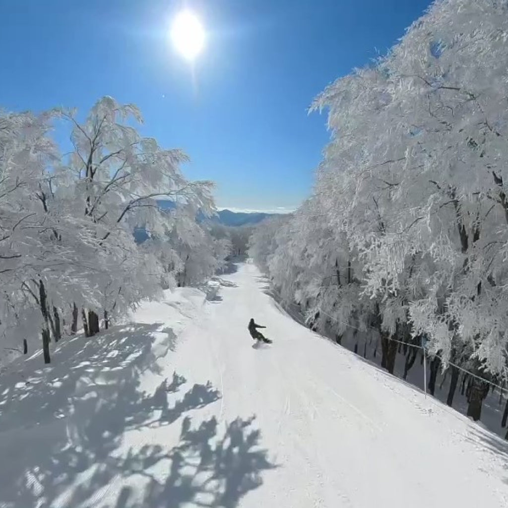 白馬乗鞍温泉スキー場／白馬コルチナスキー場　共通1日券