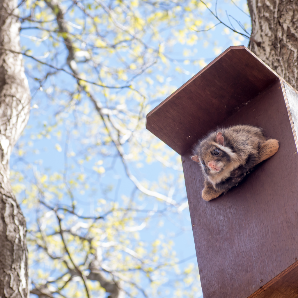 モビリティリゾートもてぎ　森と星空のキャンプヴィレッジ 宿泊補助券