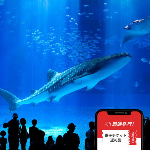 沖縄美ら海水族館　WEBチケット（入館券）