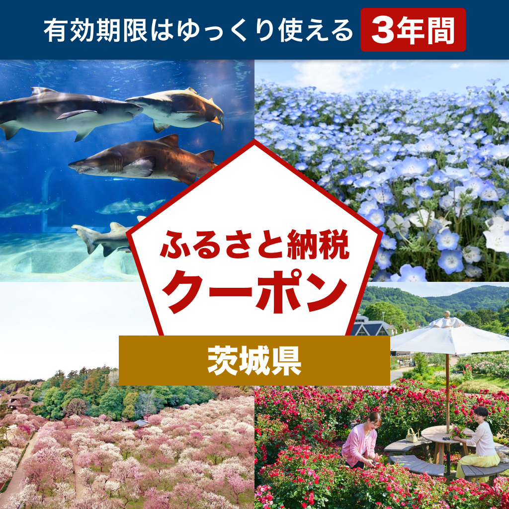 【茨城県】アソビュー！ふるさと納税クーポン