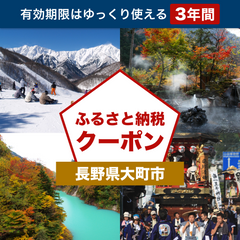 【長野県大町市】アソビュー！ふるさと納税クーポン