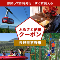 【長野県茅野市】アソビュー！ふるさと納税クーポン