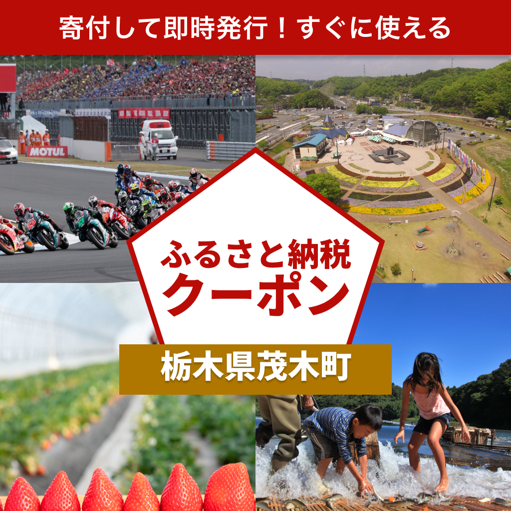 【栃木県茂木町】アソビュー！ふるさと納税クーポン