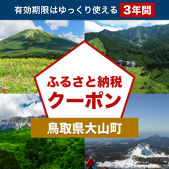 【鳥取県大山町】アソビュー！ふるさと納税クーポン