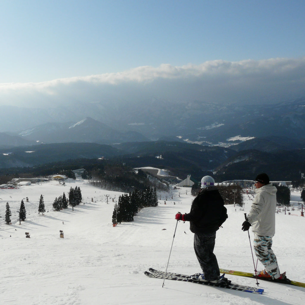 ホワイトピアたかす＋鷲ヶ岳スキー場 共通リフト1日券（全日）